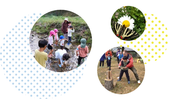 ほうた自然学校の活動風景(スマホ表示)