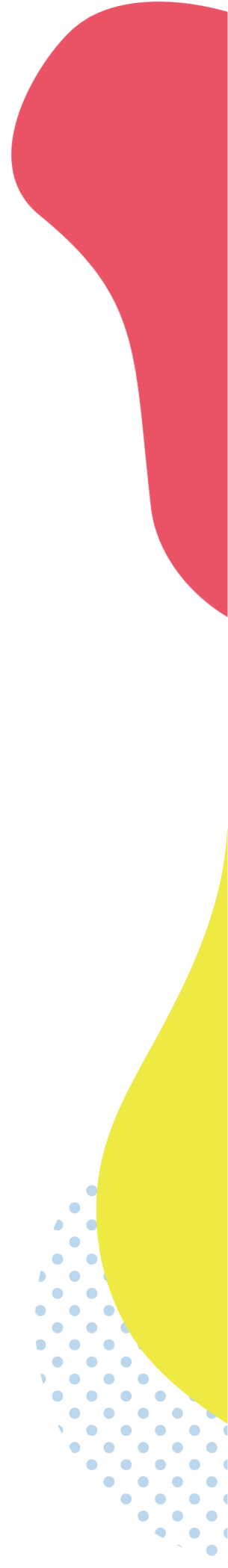 ほうた自然学校の右側イメージ